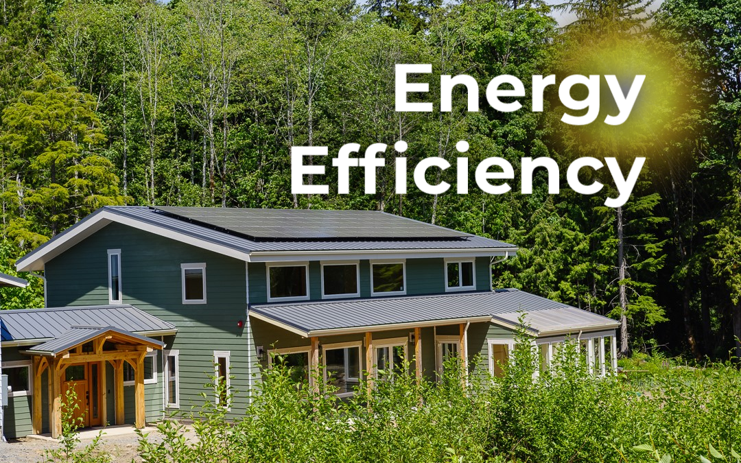 Impact of Eco-Conscious Living Series: Energy Efficiency