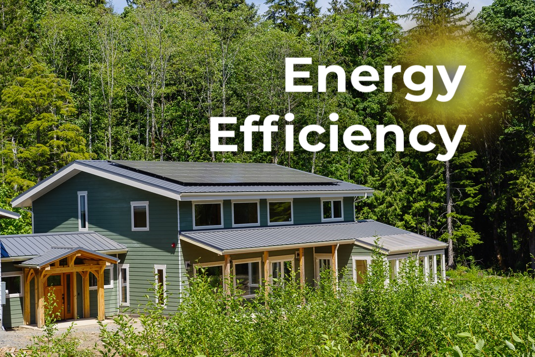 Impact of Eco-Conscious Living Series: Energy Efficiency